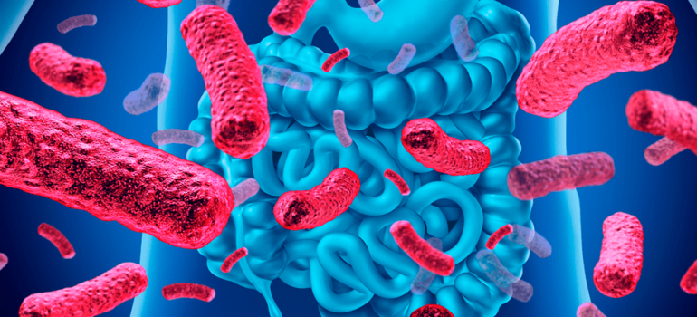 Microbiota, Intestino e Saúde