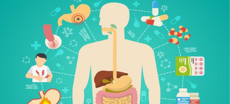 Metabolismo e Obesidade - entenda a sua Taxa Metabólica Basal