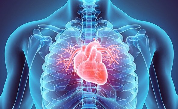 Explorando a confluência de saúde e beleza