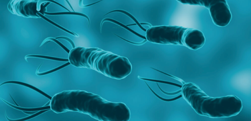 H. Pylori pode causar de gastrite até câncer de estômago