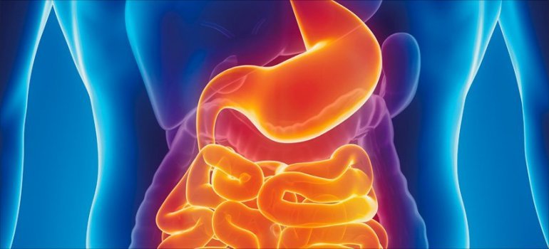 Igastroprocto centro médico especializado em exames e consultas