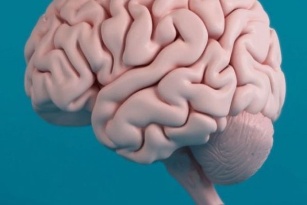 O que é o Neurodesenvolvimento?