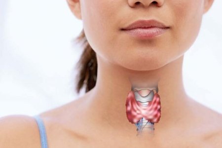 2023_01_24_13_55_39_000000_2258-WhatsApp-Image-2023-01-24-at-13-55-03