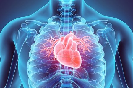 2023_09_22_17_29_32_000000_2396-cardio-pulmonar