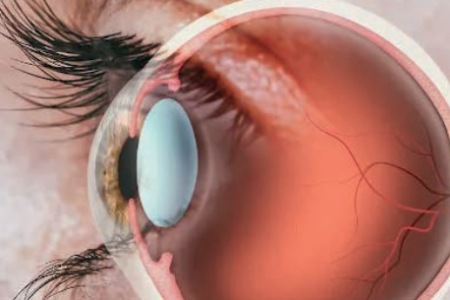 2024_05_22_14_33_15_000000_2645-Captura-de-tela-2024-05-22-143348