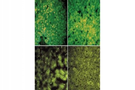 Imagem Informação que Salva (19)