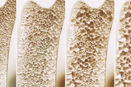 Imagem Informação que Salva (20)