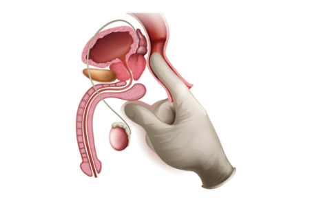 imagem18a888a42120acb8f088