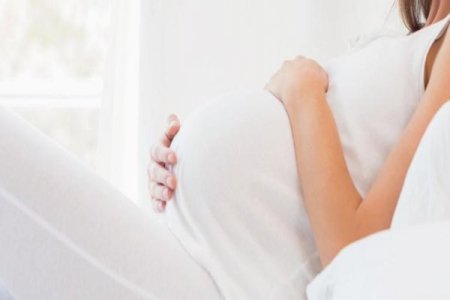 imagem1cf76947192793fa6e35