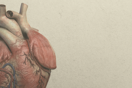 imagem3202fce62e858320d7ad