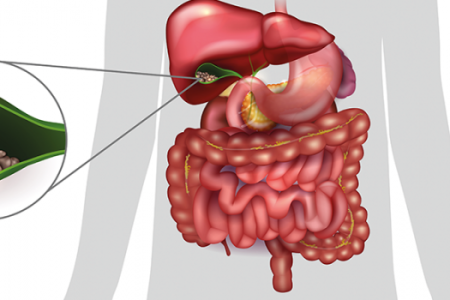 imagem502fc56b48b5aacbbd04