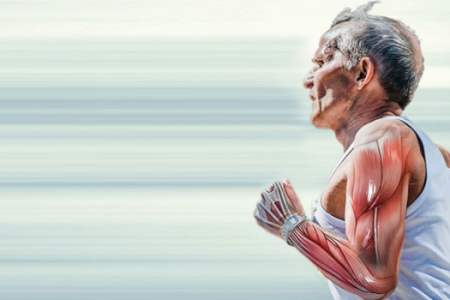 imagem529cd1ddf7d465edff24