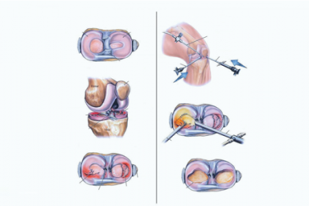 imagem91e1bab3340667e1ddf8