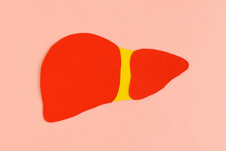 imagem9f26535f8f87d477d0fb