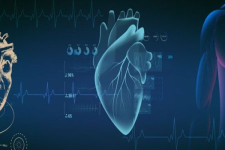 imagema2eaefa611fe7f5912b5