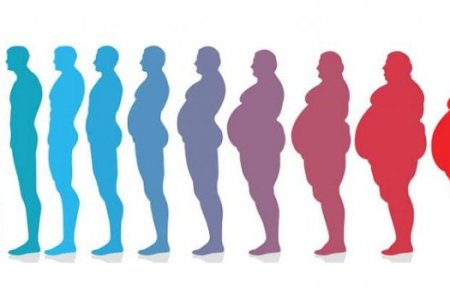 imagemadd2a5c82e754e24616b