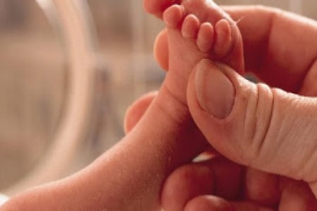 imagemaf7a469dafe415b1d1b2