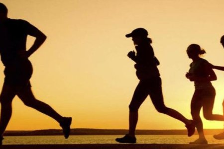 imagemd617f2ae9f162f59bffb