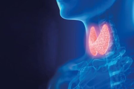 imagemd8d813bc39cc312b83a4