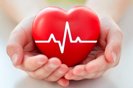 imagemd9e9cd5e8e99165345a8