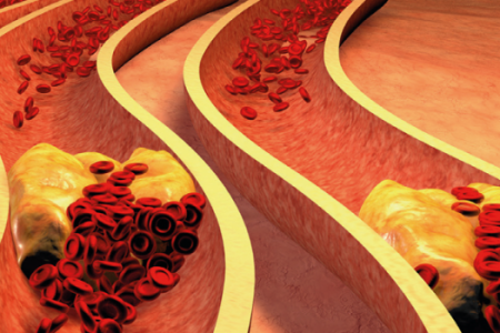 imagemeb0cb0aada60a3d17426