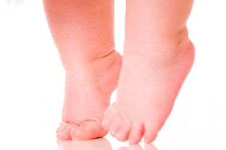 imagemeb4ca0950171e1eb4a47