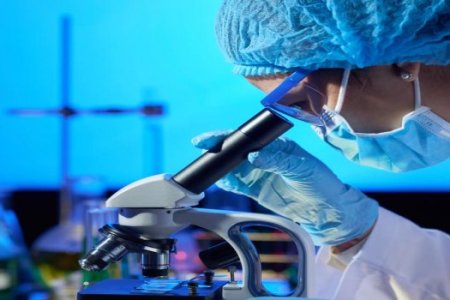 imagemfb69bdb66f4301b3954f